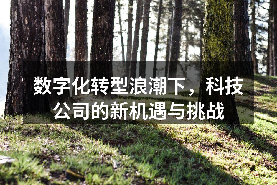 数字化转型浪潮下，科技公司的新机遇与挑战