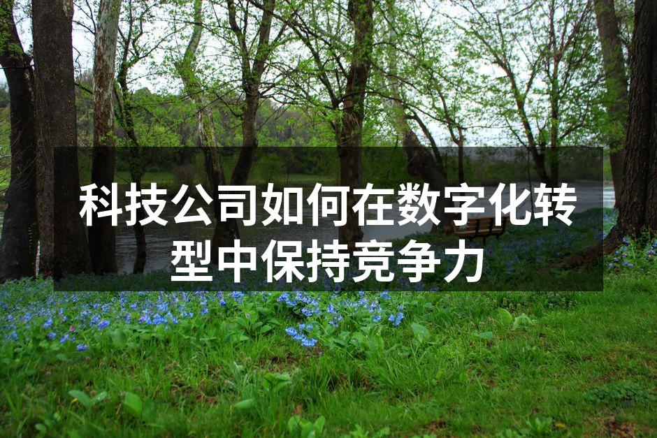 数字化转型的关键所在